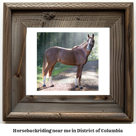horseback riding District of Columbia
